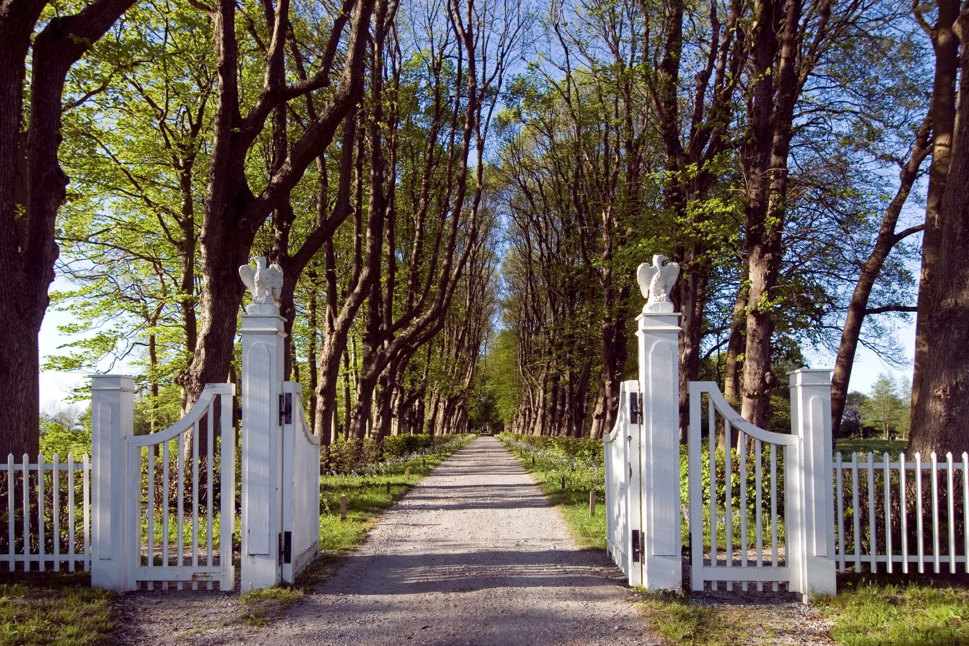 fence driveway 3