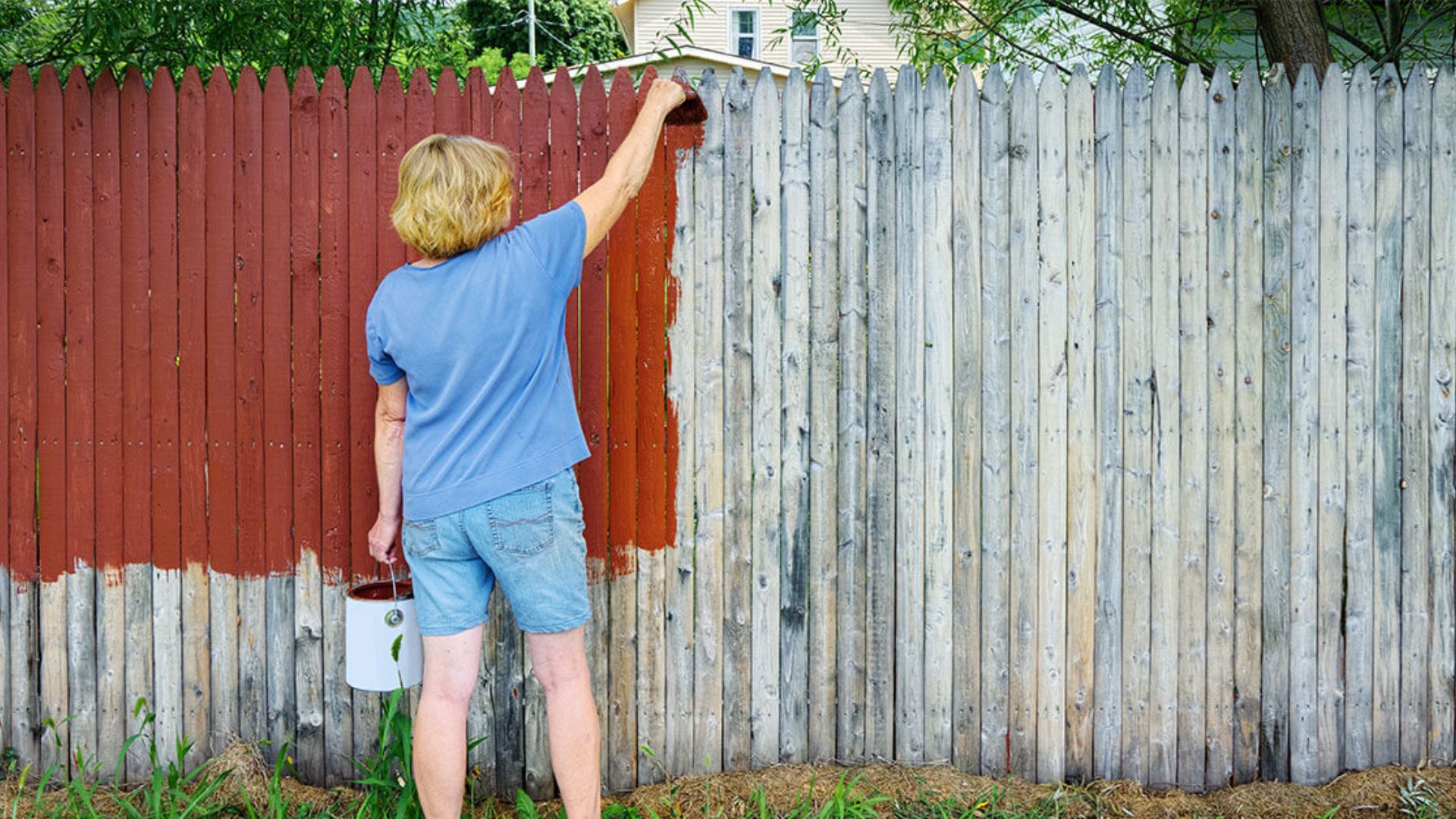 can i paint my side of my neighbours fence (7)